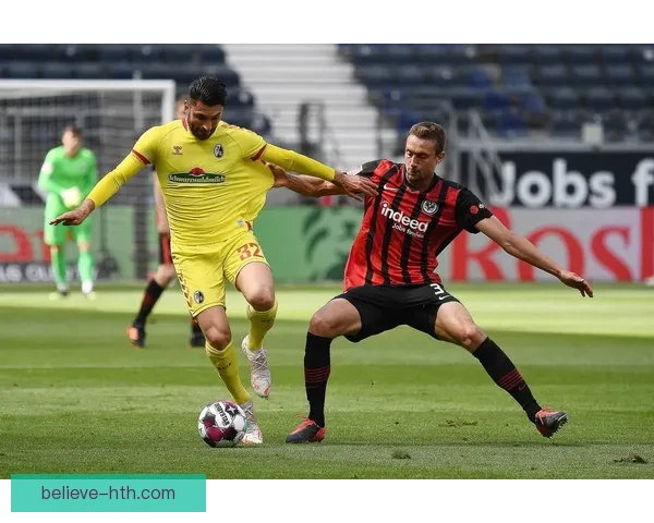 美因茨05俱乐部发展历程及其在德甲联赛中的崛起与挑战